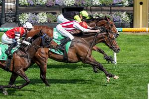 GOOD FEELING LANDS IN MANIFOLD